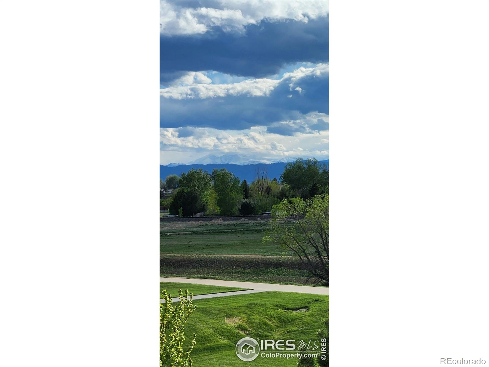 MLS Image #15 for 7535  horsechestnut street,wellington, Colorado