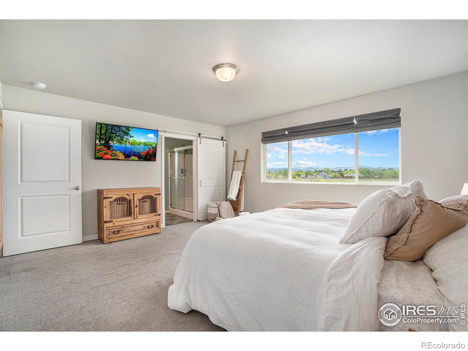 MLS Image #16 for 7535  horsechestnut street,wellington, Colorado