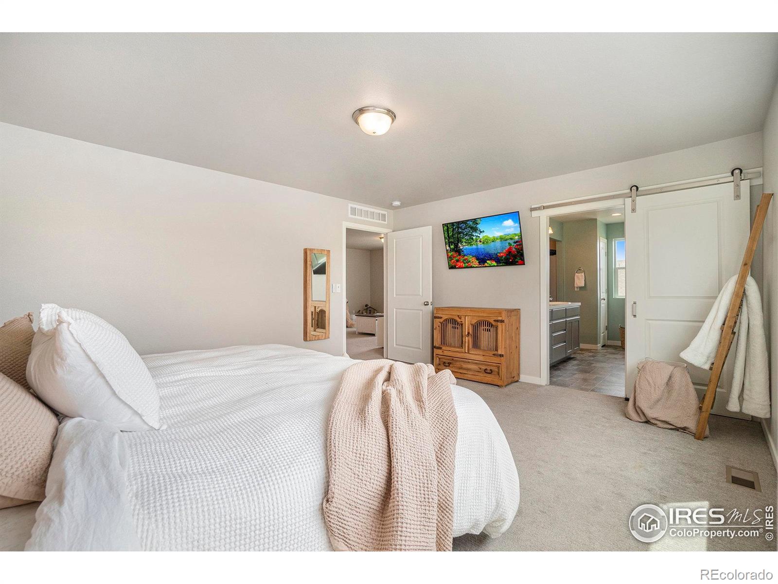 MLS Image #19 for 7535  horsechestnut street,wellington, Colorado