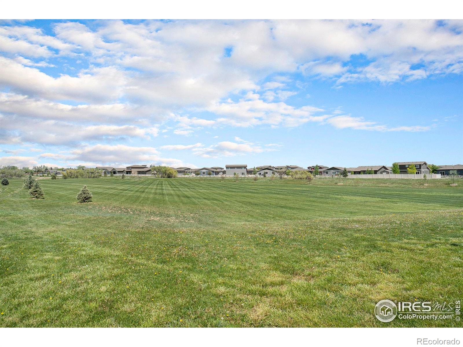 MLS Image #36 for 7535  horsechestnut street,wellington, Colorado