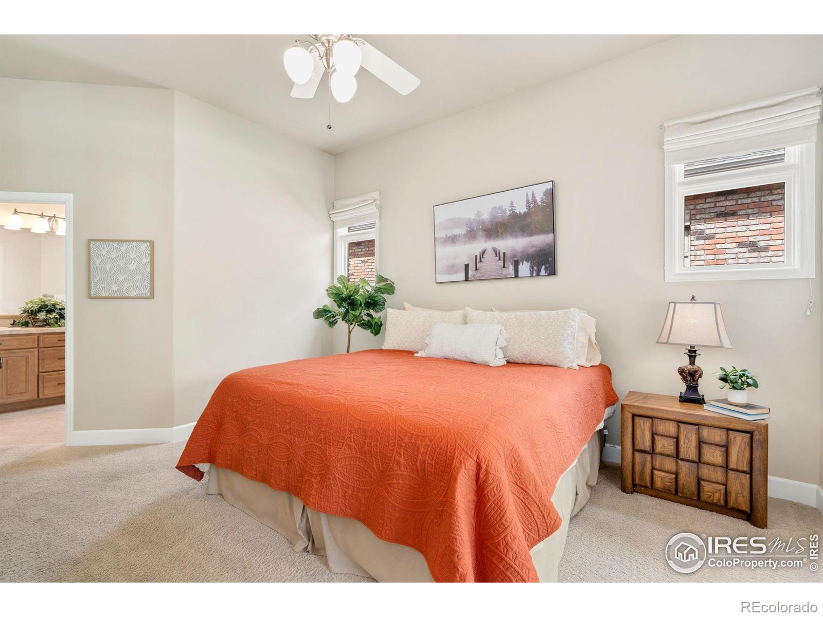 MLS Image #16 for 8245  hidden cove court,windsor, Colorado
