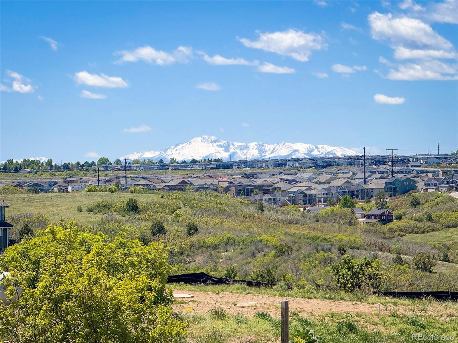 MLS Image #46 for 4959  rocky view point,castle rock, Colorado