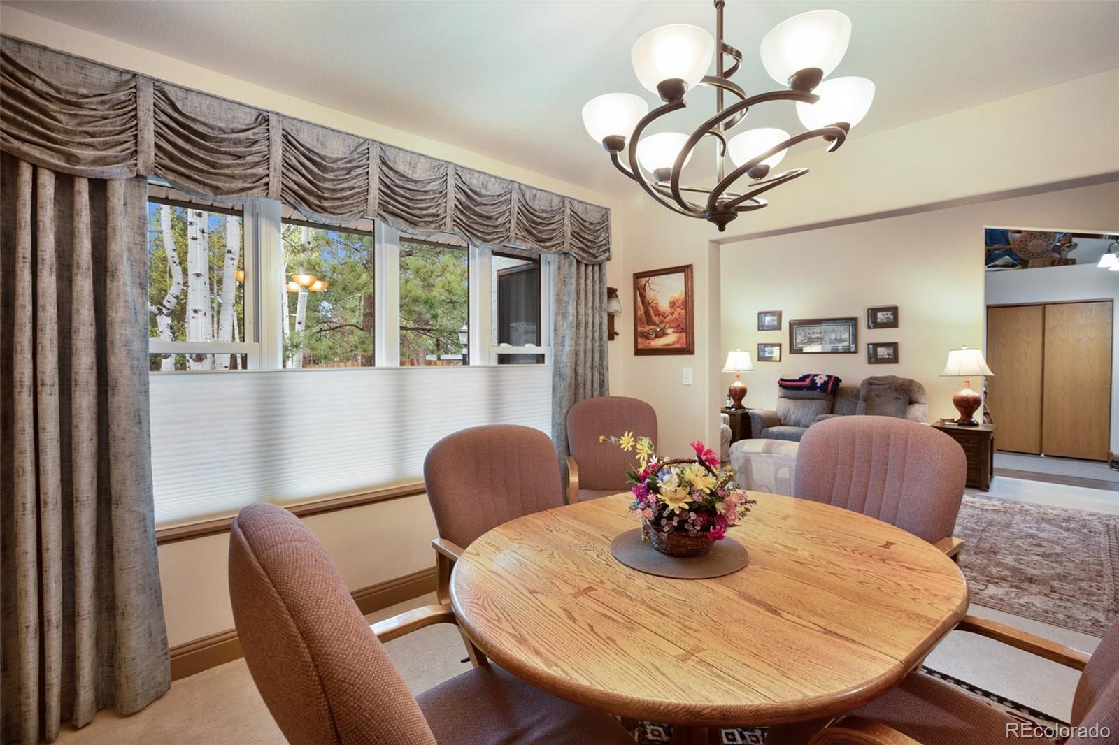 MLS Image #10 for 1509  sunshine circle,woodland park, Colorado