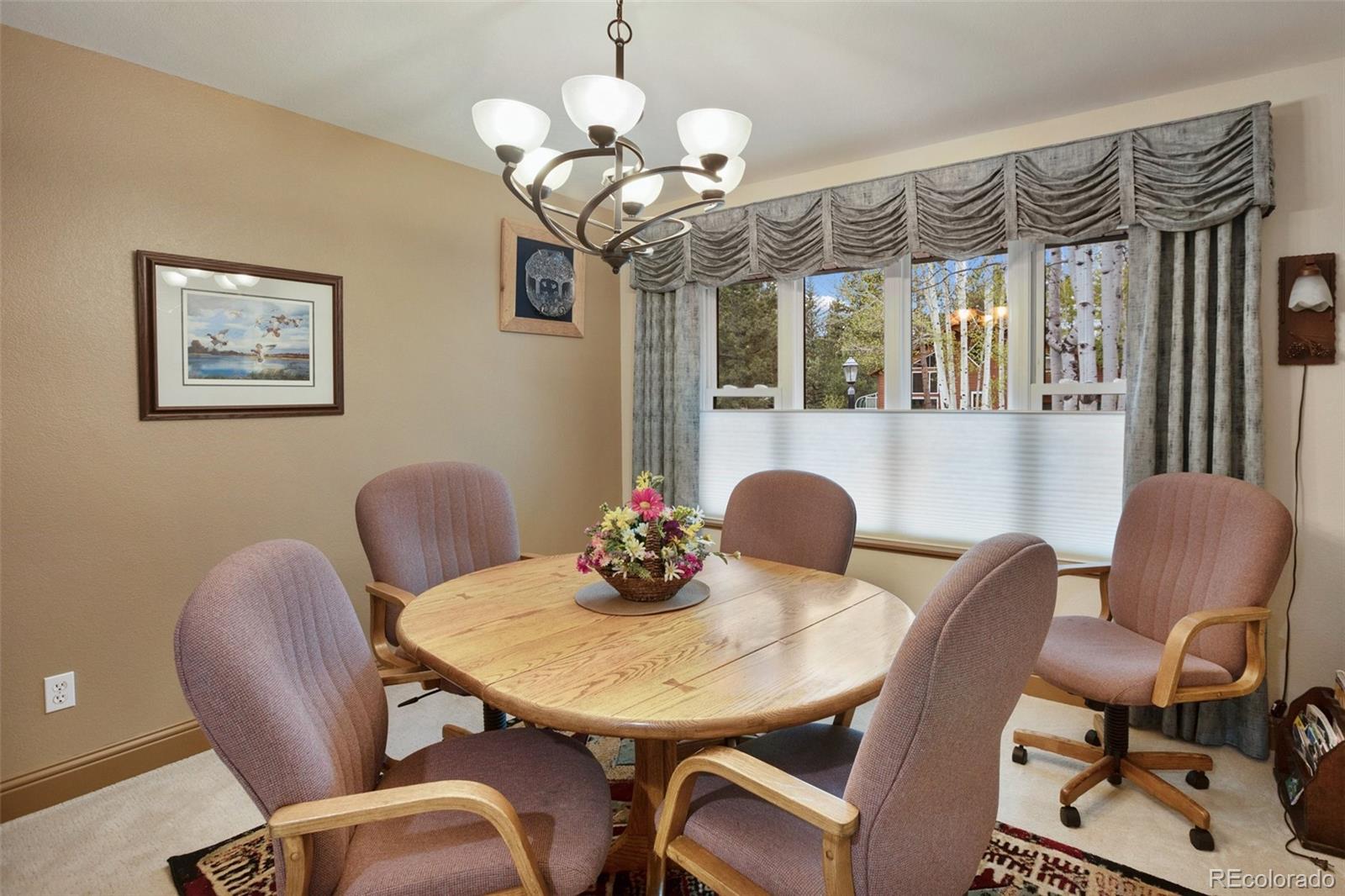 MLS Image #8 for 1509  sunshine circle,woodland park, Colorado