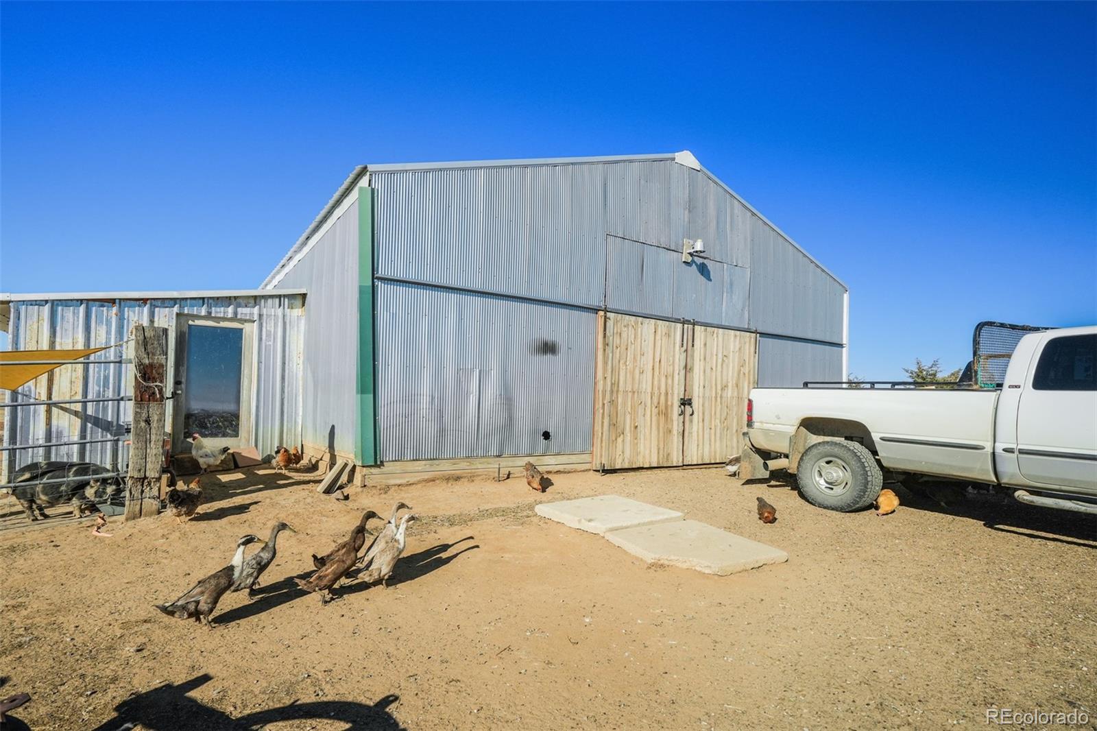 MLS Image #7 for 35360  harrisville road,calhan, Colorado