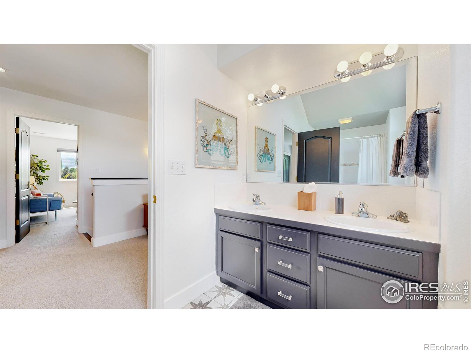 MLS Image #27 for 7945  bayside drive,fort collins, Colorado