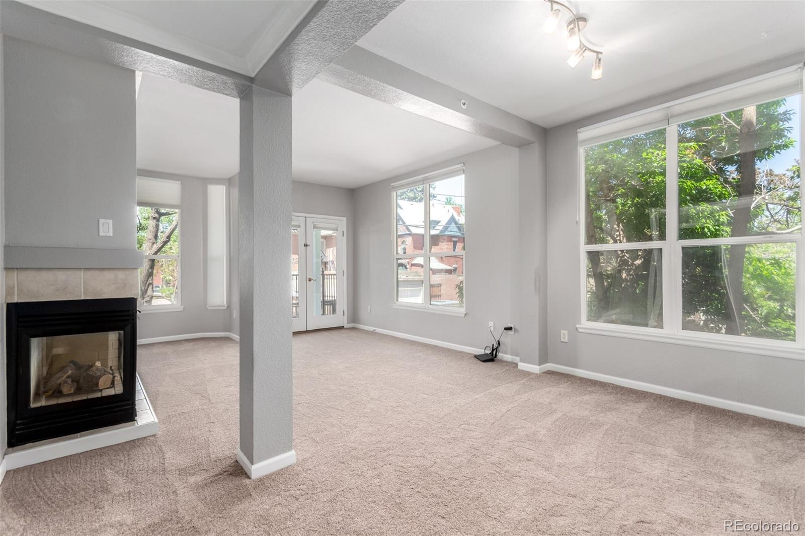 MLS Image #9 for 1521  vine street,denver, Colorado