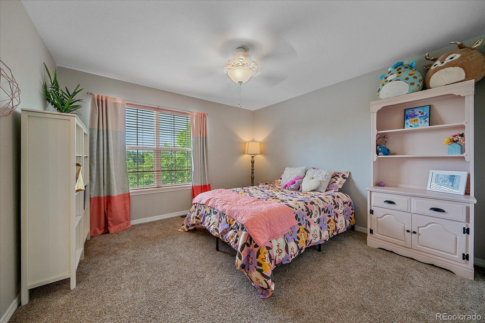 MLS Image #28 for 5746  aspen creek drive,broomfield, Colorado