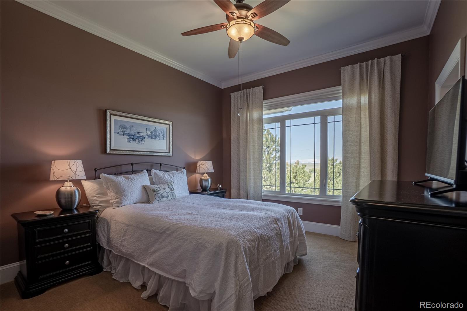 MLS Image #19 for 10515  lucas avenue,franktown, Colorado
