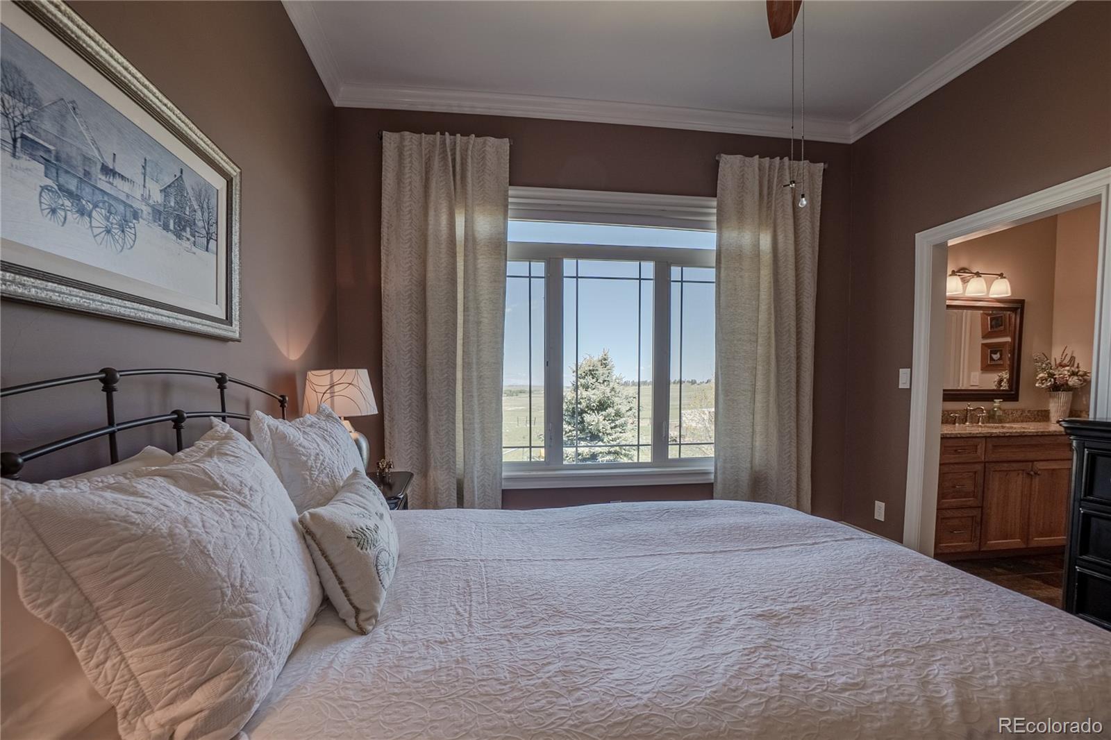 MLS Image #20 for 10515  lucas avenue,franktown, Colorado