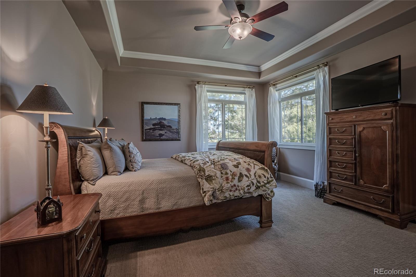 MLS Image #28 for 10515  lucas avenue,franktown, Colorado