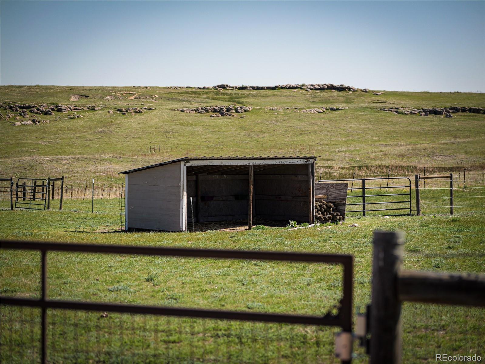 MLS Image #34 for 10515  lucas avenue,franktown, Colorado