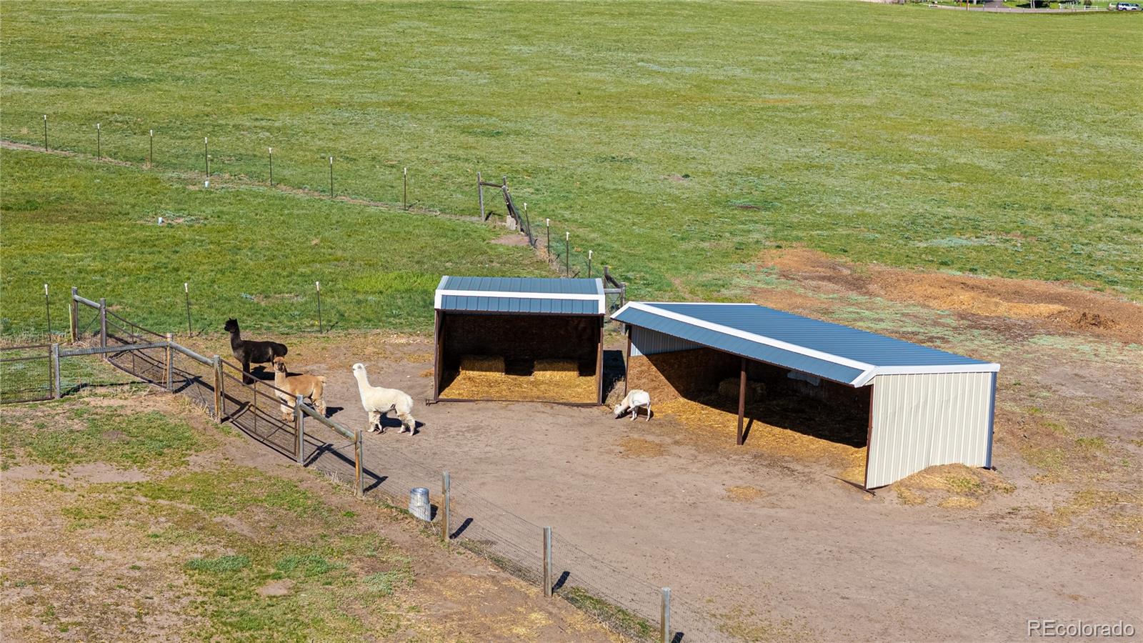 MLS Image #49 for 10515  lucas avenue,franktown, Colorado