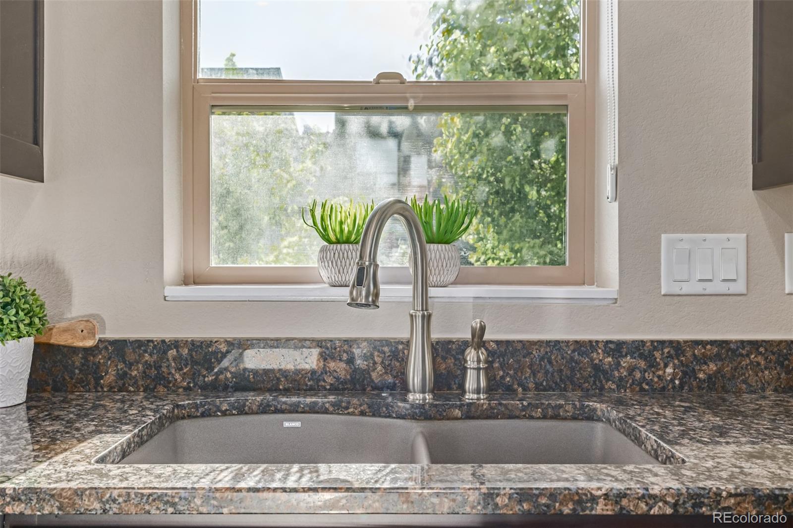 MLS Image #14 for 10305  martin luther king boulevard,denver, Colorado