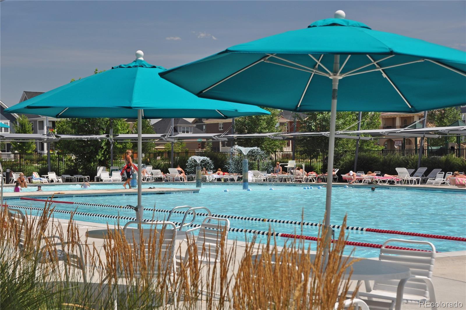 MLS Image #39 for 10305  martin luther king boulevard,denver, Colorado