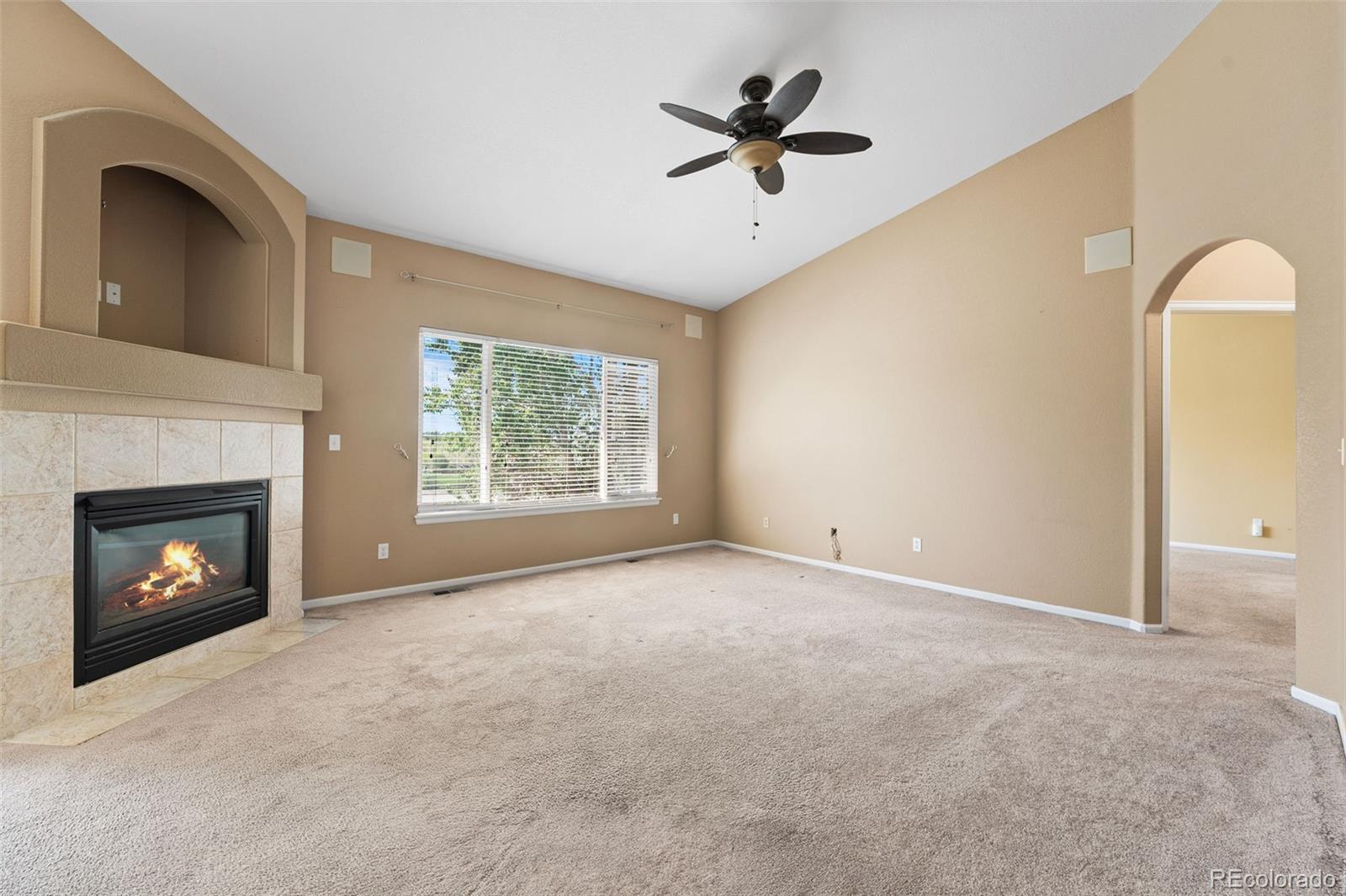 MLS Image #18 for 21690  longs peak lane,parker, Colorado