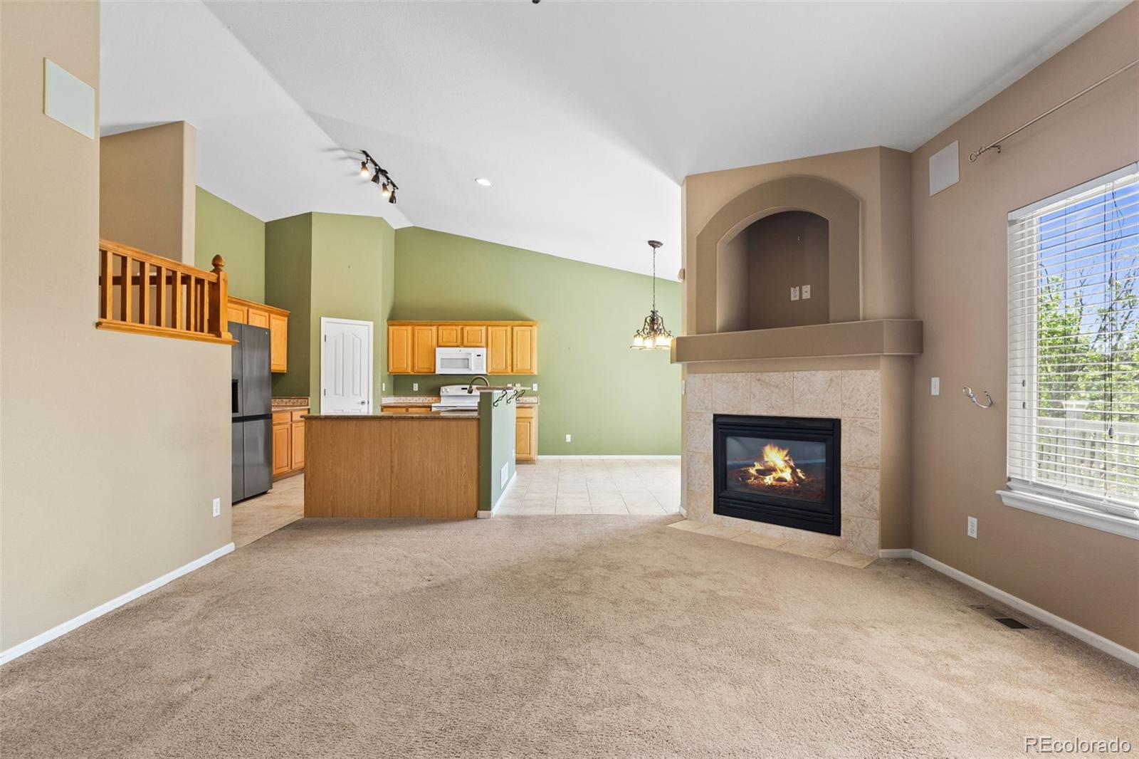 MLS Image #19 for 21690  longs peak lane,parker, Colorado