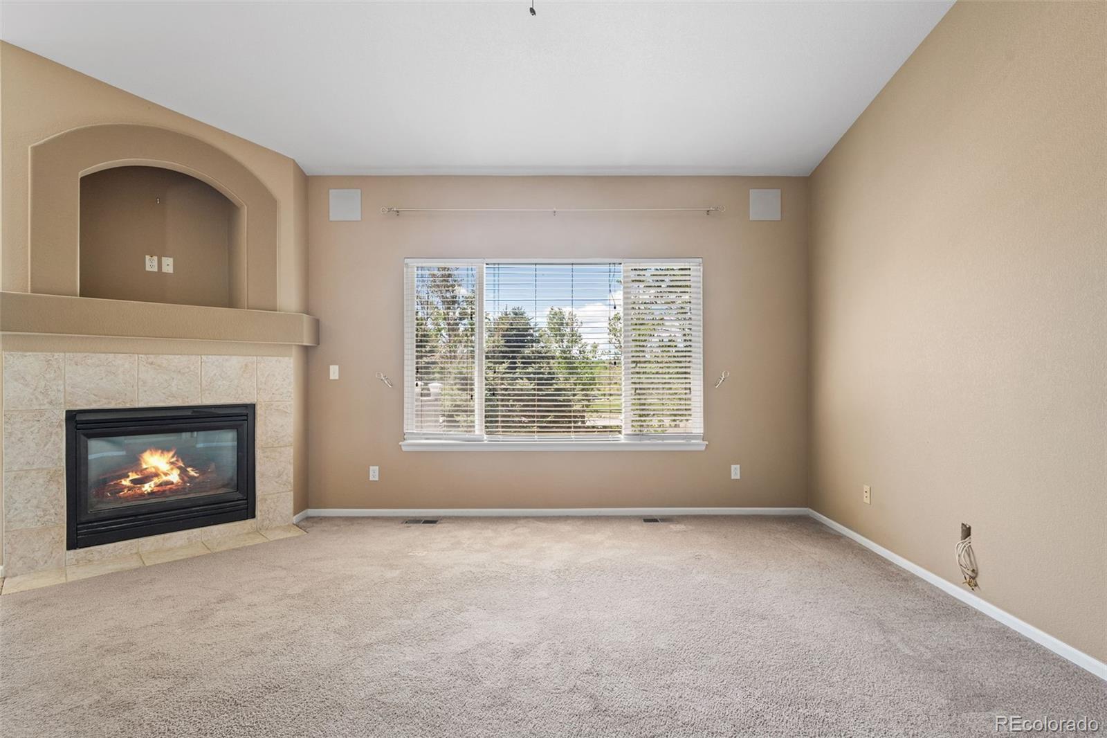 MLS Image #20 for 21690  longs peak lane,parker, Colorado
