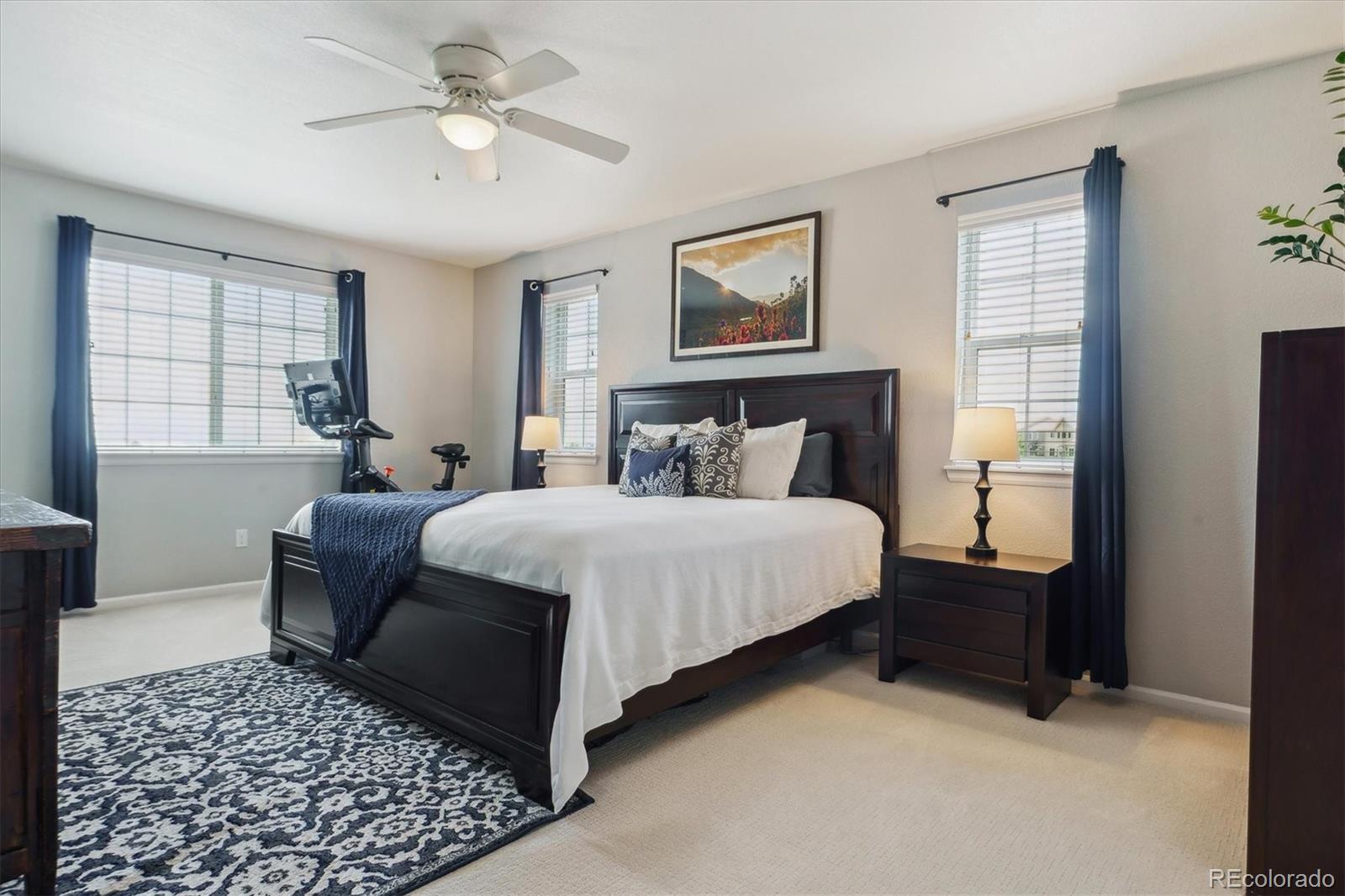 MLS Image #21 for 13822  worthington place,parker, Colorado