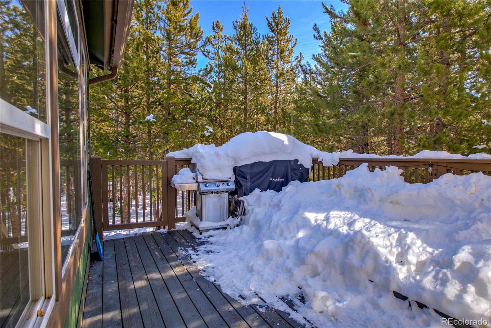 MLS Image #13 for 308  red hawk circle,silverthorne, Colorado