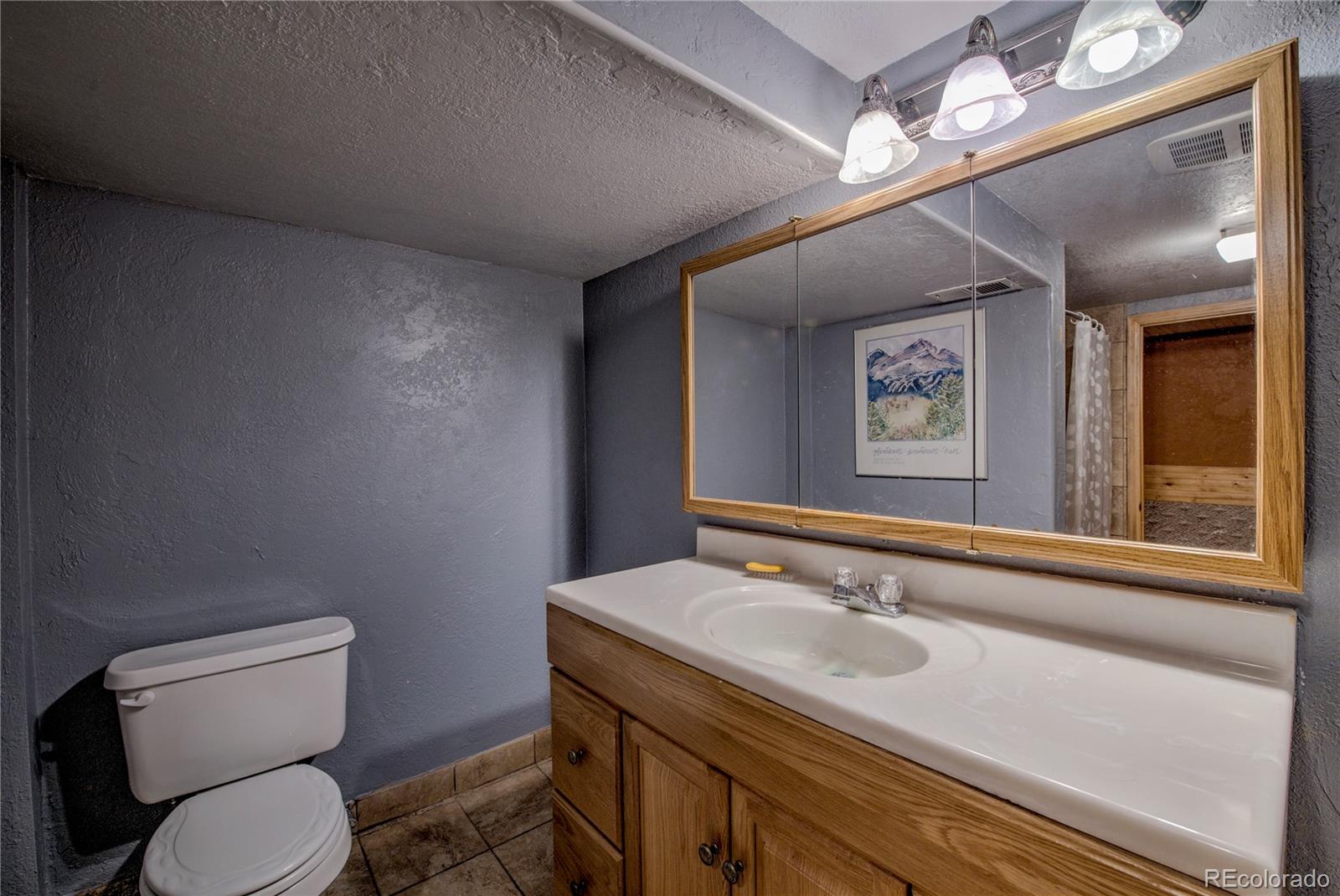 MLS Image #30 for 308  red hawk circle,silverthorne, Colorado
