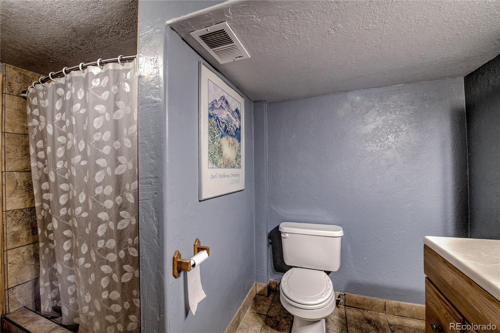 MLS Image #31 for 308  red hawk circle,silverthorne, Colorado