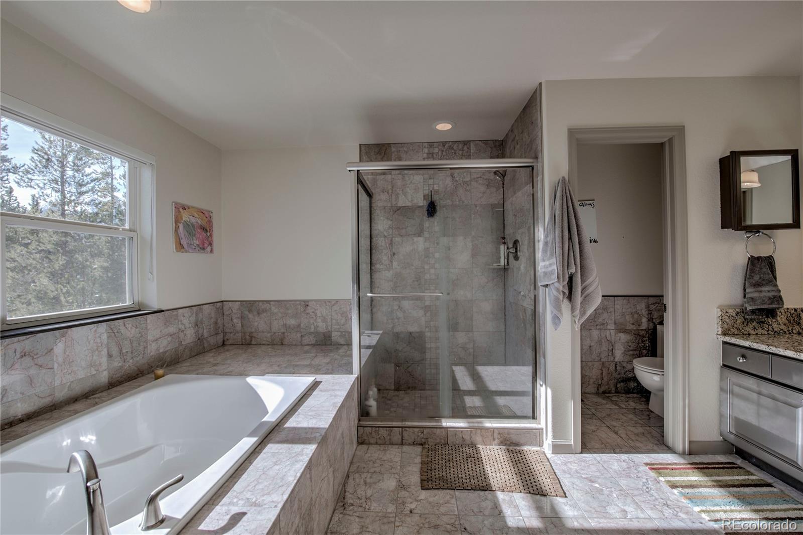 MLS Image #36 for 308  red hawk circle,silverthorne, Colorado