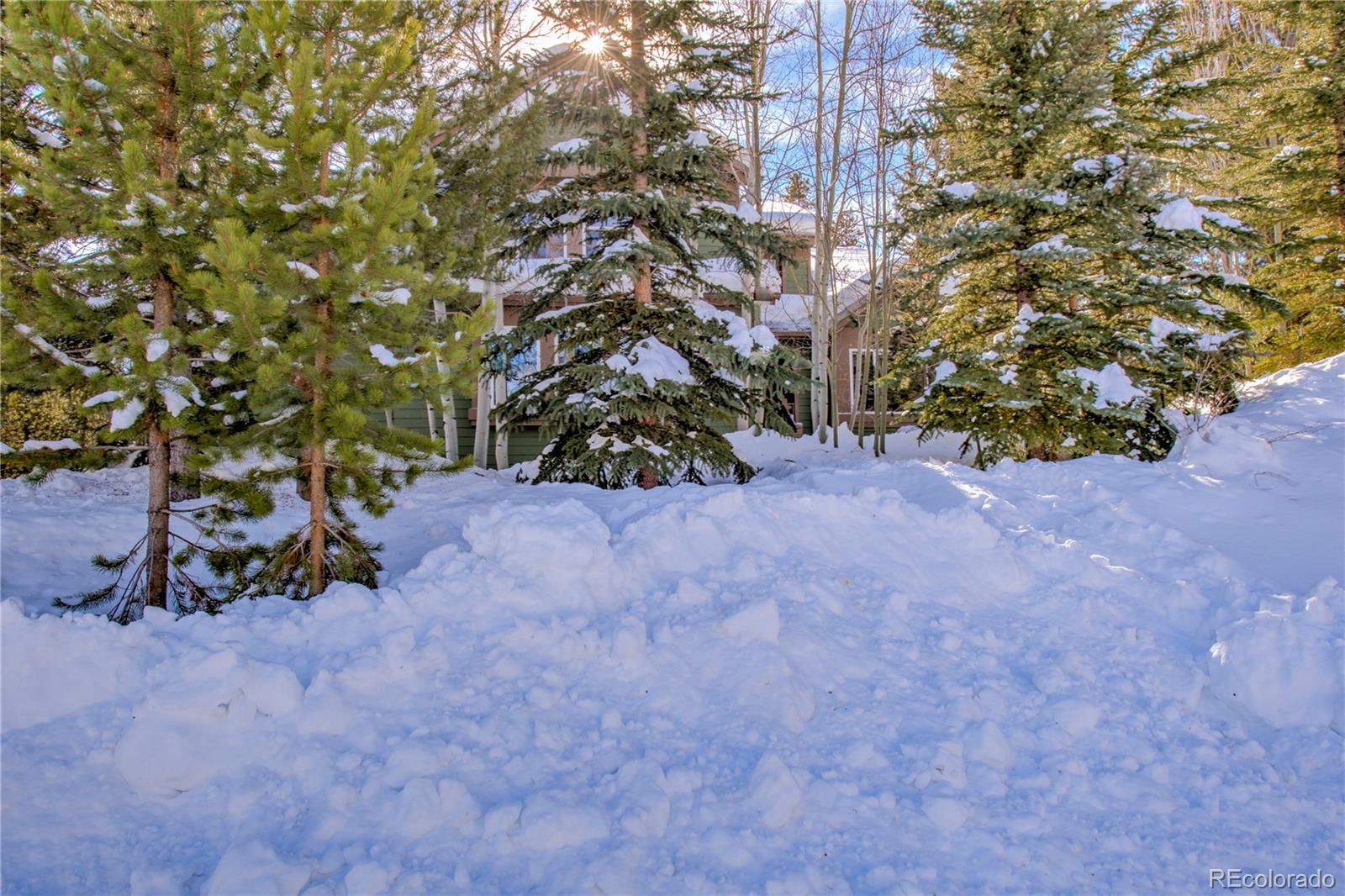 MLS Image #42 for 308  red hawk circle,silverthorne, Colorado