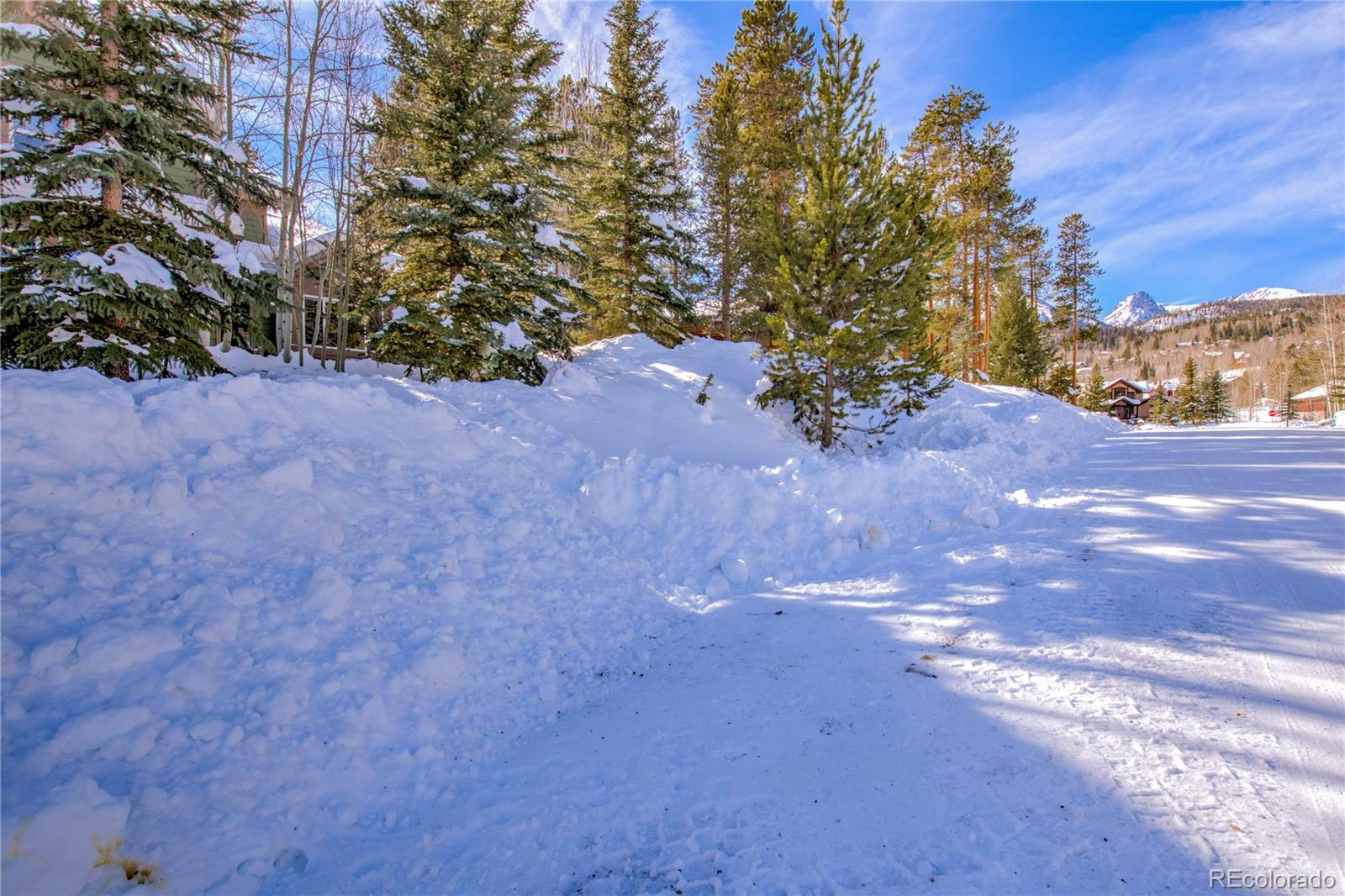 MLS Image #43 for 308  red hawk circle,silverthorne, Colorado
