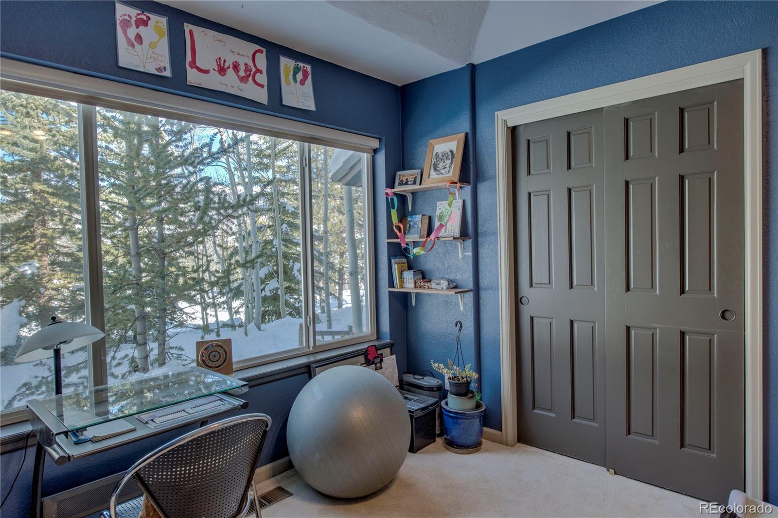 MLS Image #8 for 308  red hawk circle,silverthorne, Colorado