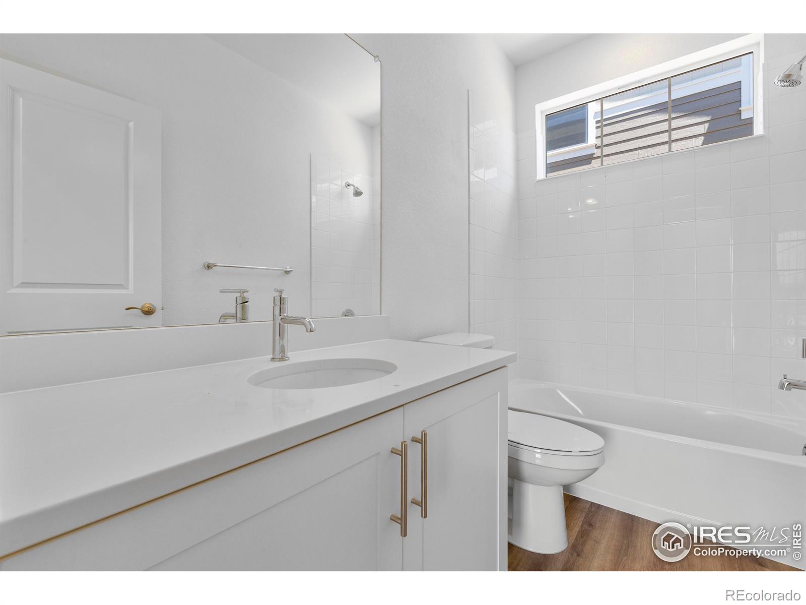 MLS Image #14 for 4510  burl street,timnath, Colorado