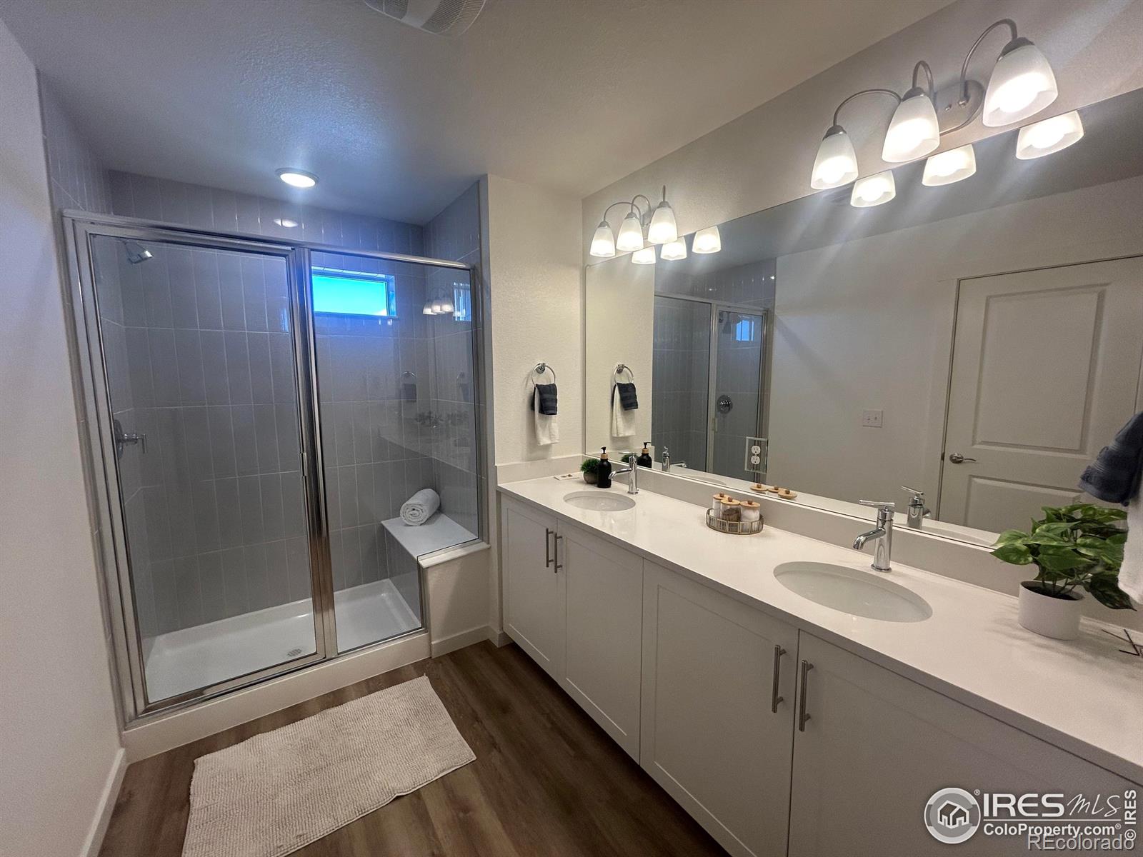 MLS Image #4 for 4510  burl street,timnath, Colorado