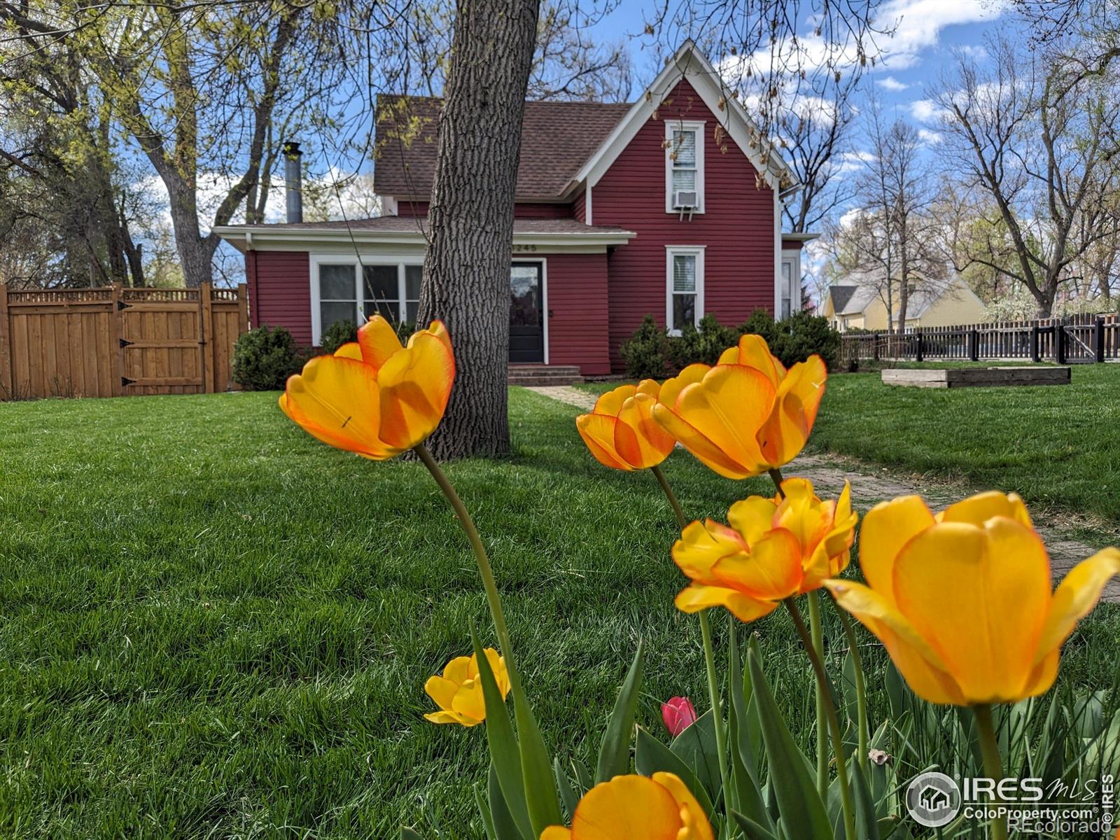 MLS Image #38 for 1245  longs peak avenue,longmont, Colorado