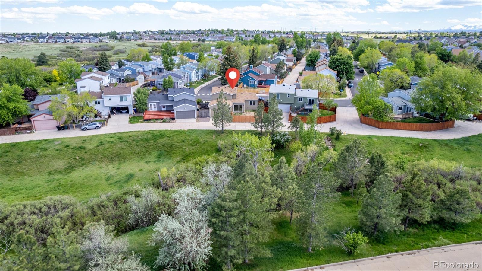MLS Image #49 for 5733  whitechapel street,castle rock, Colorado