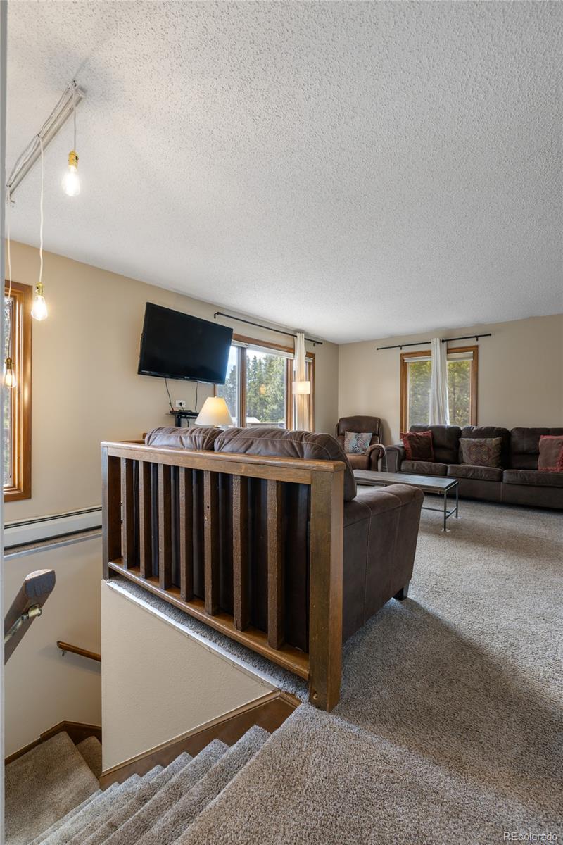 MLS Image #20 for 24  ski pole court,breckenridge, Colorado