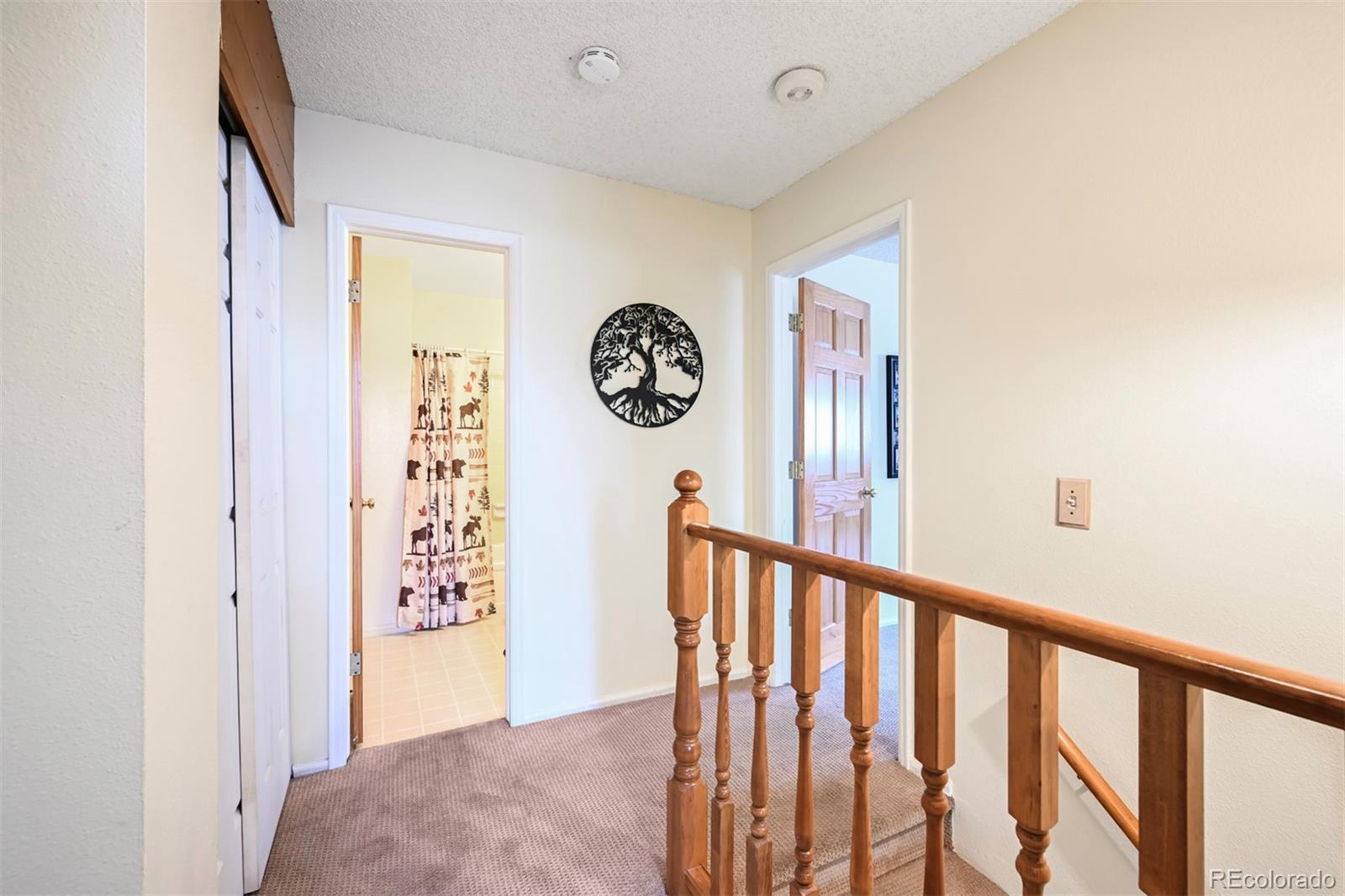 MLS Image #12 for 225  berthoud way,golden, Colorado