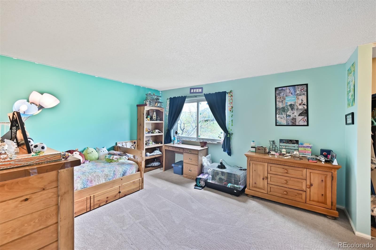 MLS Image #16 for 225  berthoud way,golden, Colorado