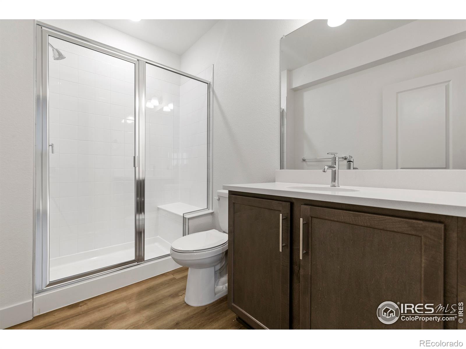 MLS Image #17 for 4504  burl street,timnath, Colorado