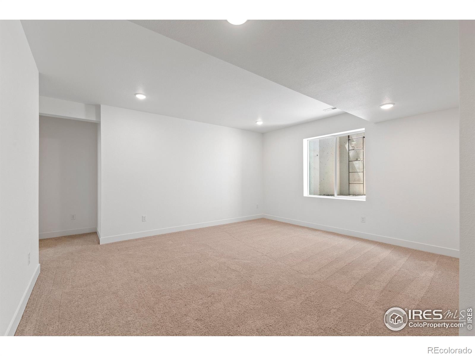 MLS Image #19 for 4504  burl street,timnath, Colorado