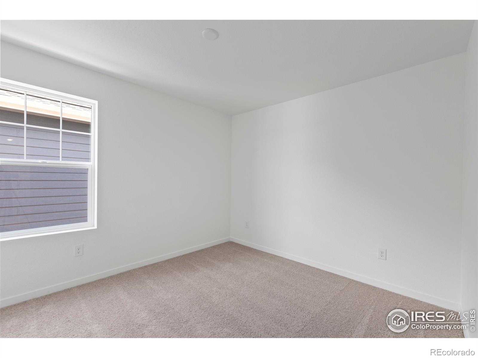 MLS Image #23 for 4504  burl street,timnath, Colorado