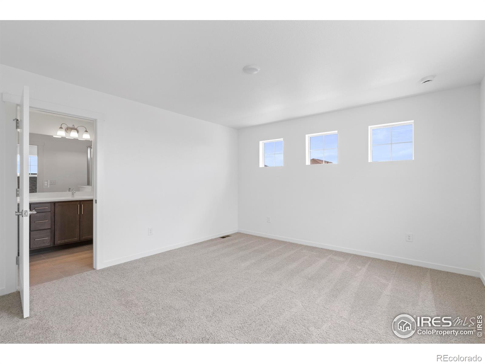 MLS Image #24 for 4504  burl street,timnath, Colorado