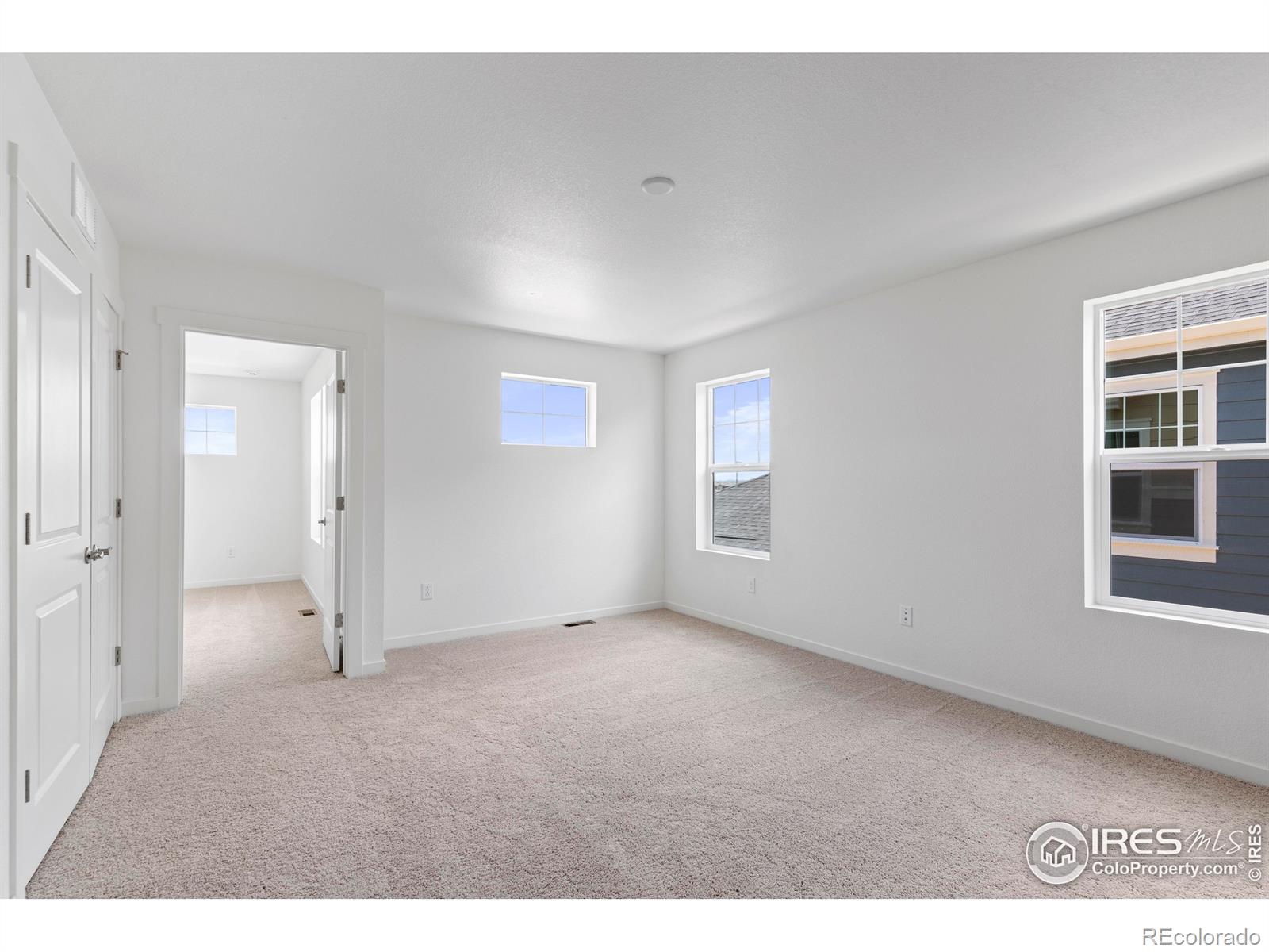 MLS Image #26 for 4504  burl street,timnath, Colorado