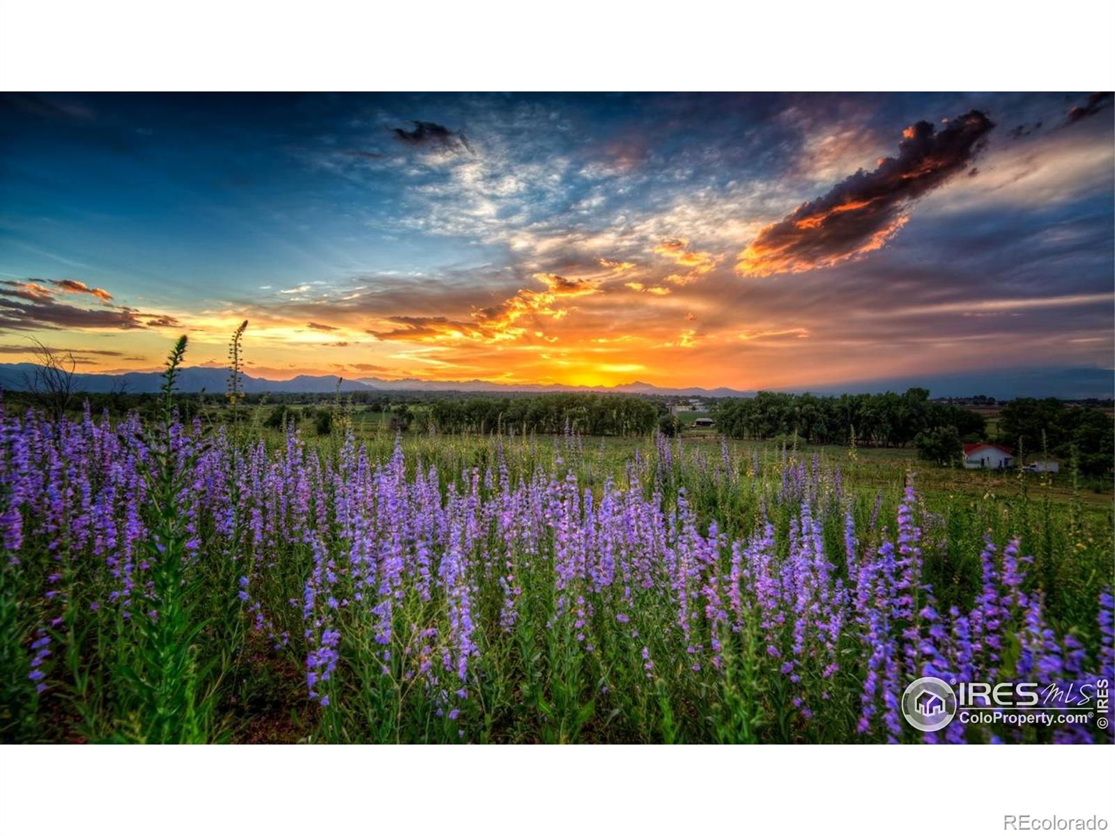MLS Image #29 for 705  rawlins way,lafayette, Colorado