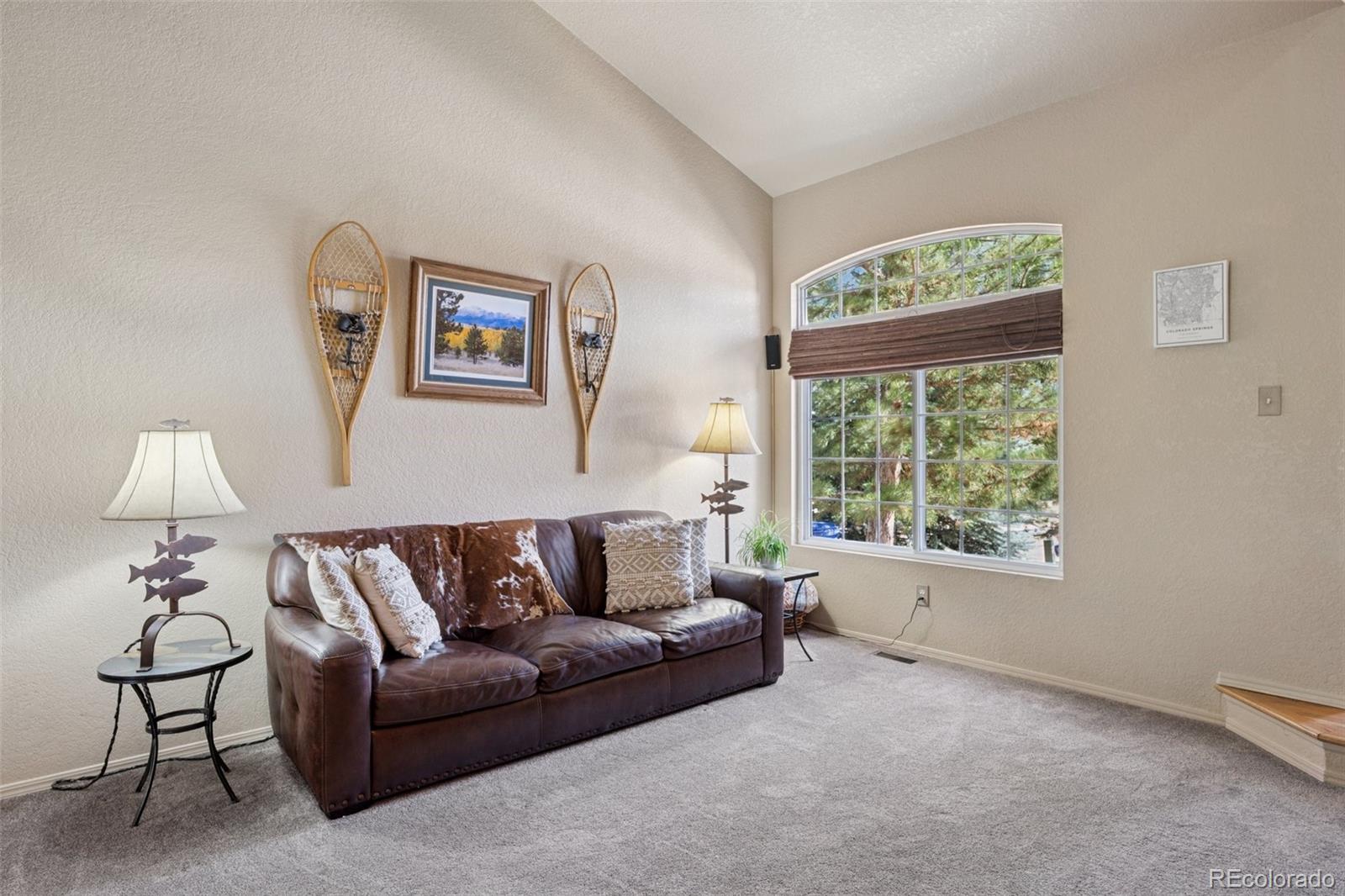 MLS Image #5 for 2755  lumberjack drive,colorado springs, Colorado
