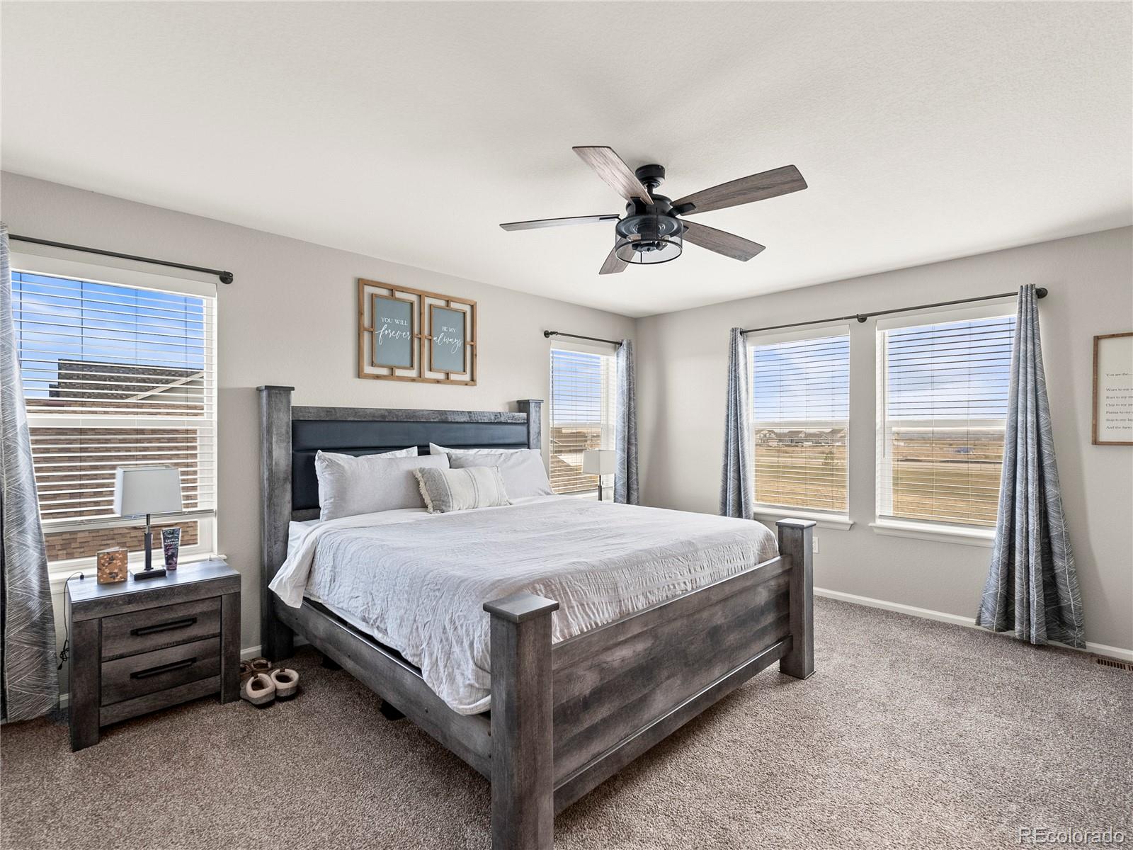 MLS Image #21 for 1527  biffle court,berthoud, Colorado