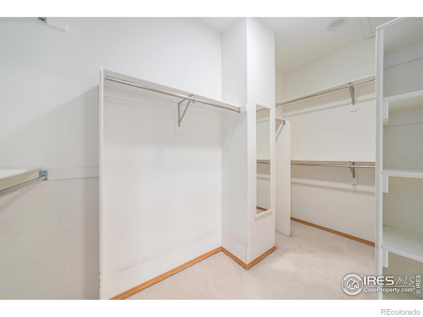 MLS Image #19 for 7902  whitney court,fort collins, Colorado