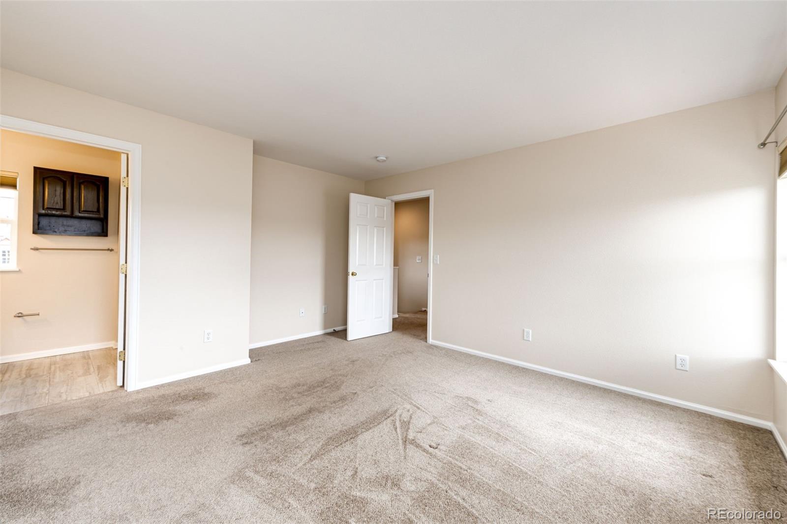 MLS Image #20 for 3841  colorful lane,castle rock, Colorado