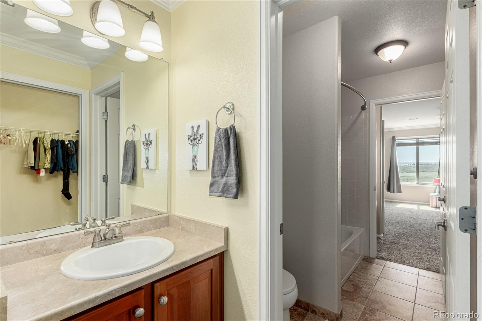 MLS Image #24 for 7852  solstice way,castle rock, Colorado