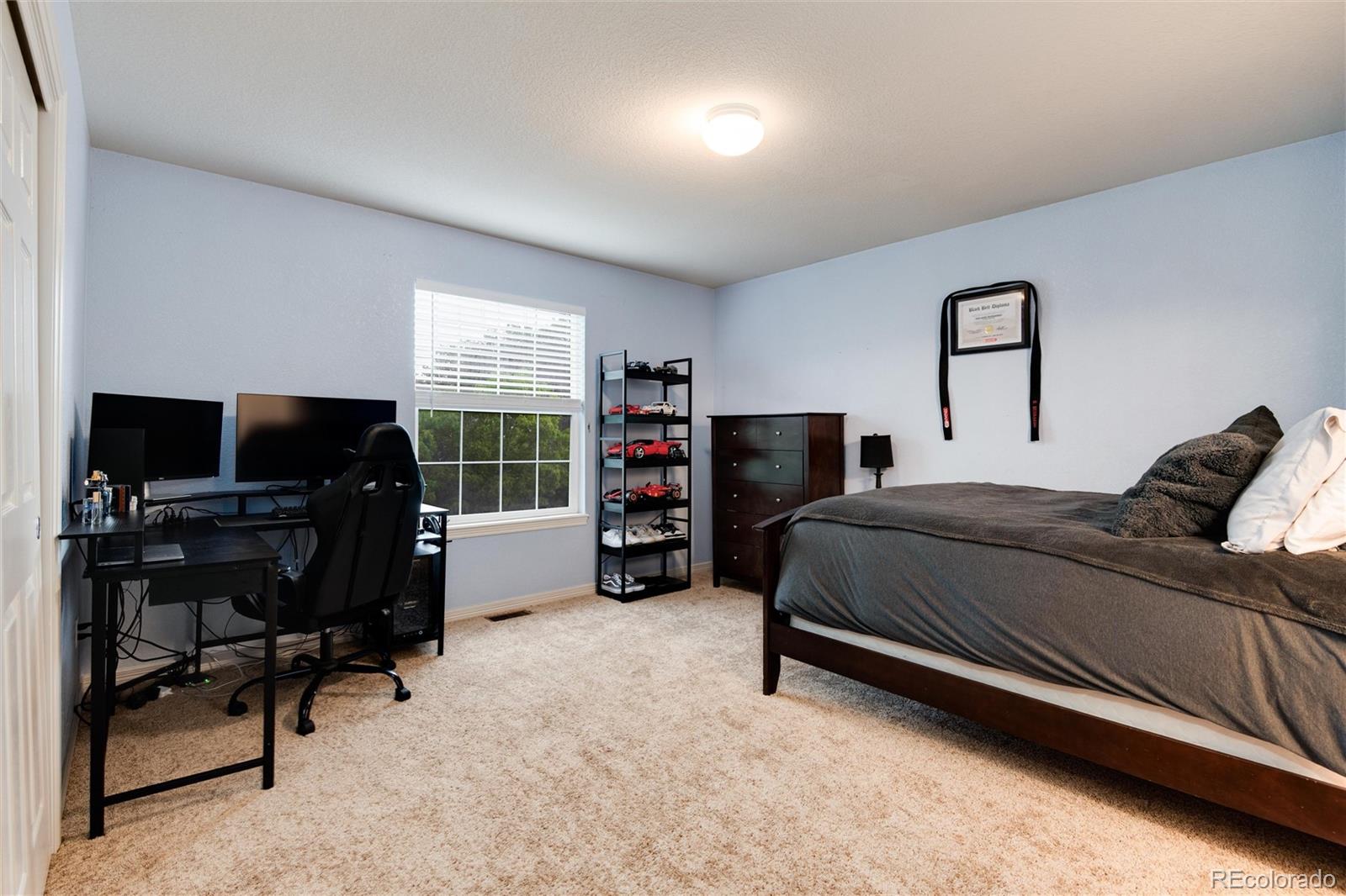 MLS Image #32 for 2959 w 110th place,westminster, Colorado