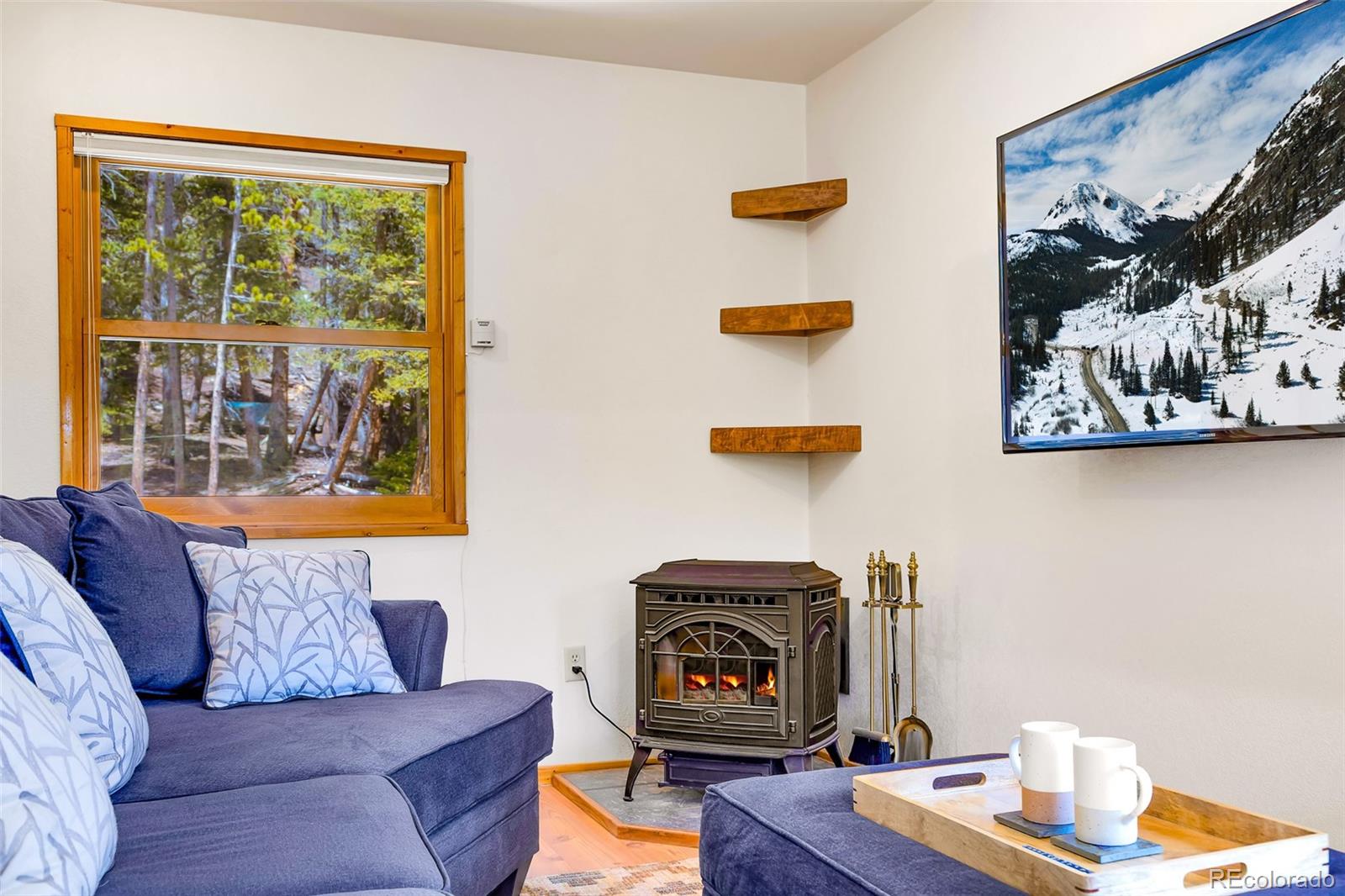 MLS Image #14 for 375  gold trail,fairplay, Colorado